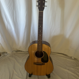 Handmade Acoustic Guitar